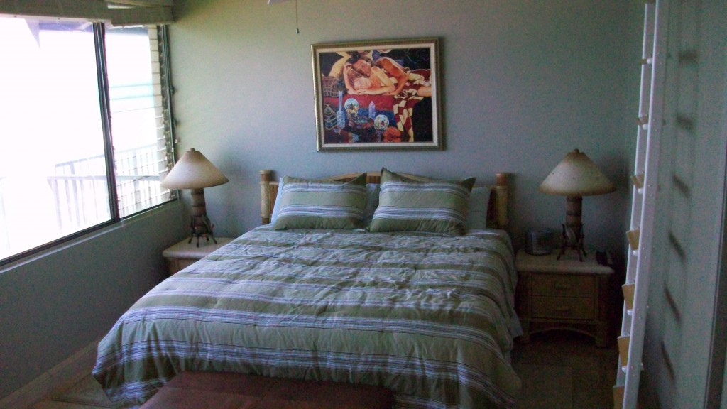 Main bedroom has private bath, Cal King bed, 26" TV & ocean view